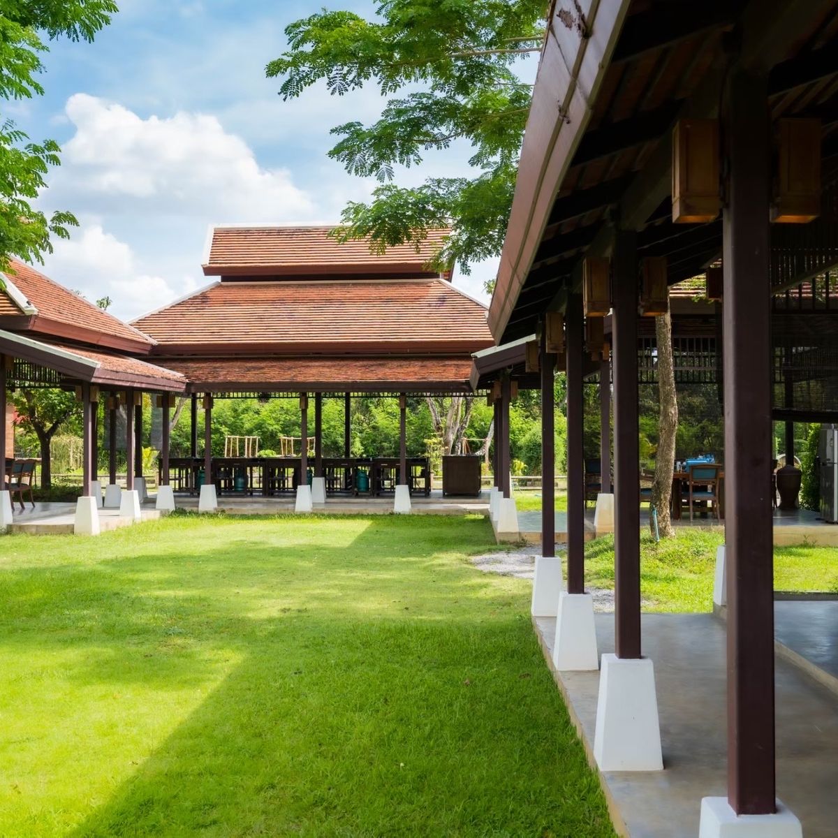 Indulge in Authentic Thai Flavors in Serene Organic Farm