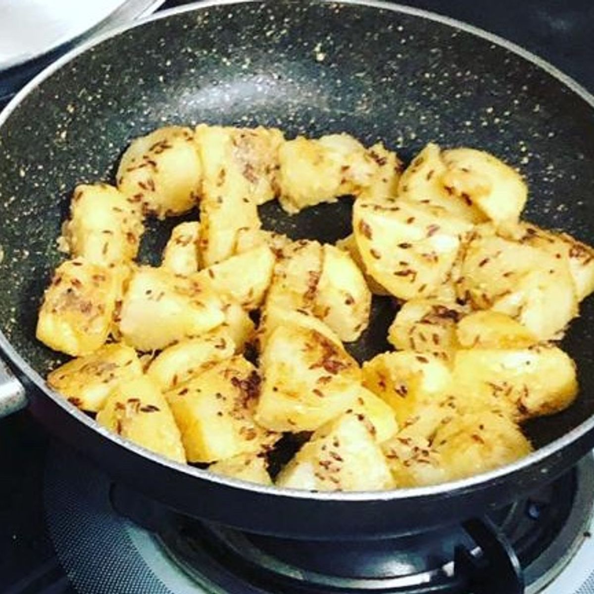 Hands-On Cooking Experience with a Local Family in Jaipur