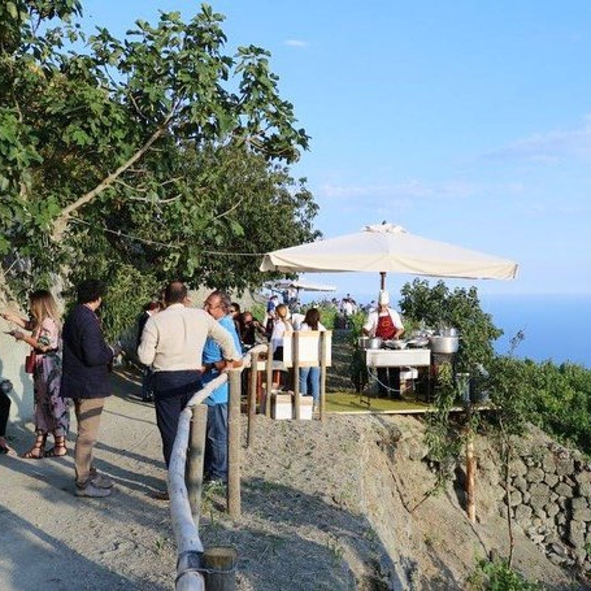 Vineyard Tour and Wine Tasting Experience in Ischia