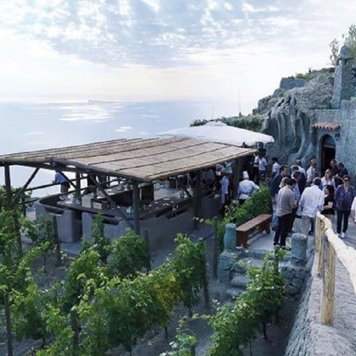 Vineyard Tour and Wine Tasting Experience in Ischia
