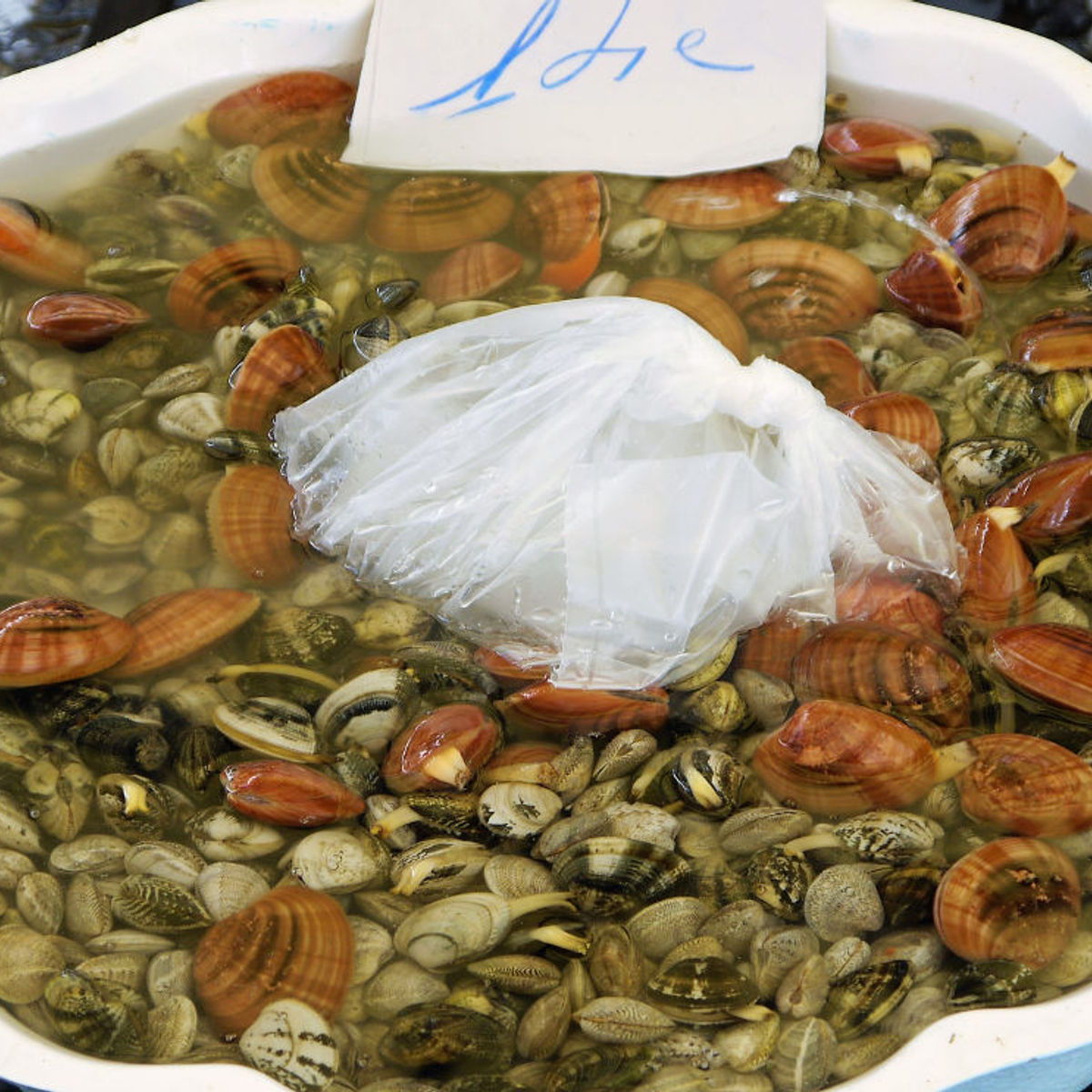 Italian Home Cooking Class - The Mediterranean Sea Fruits