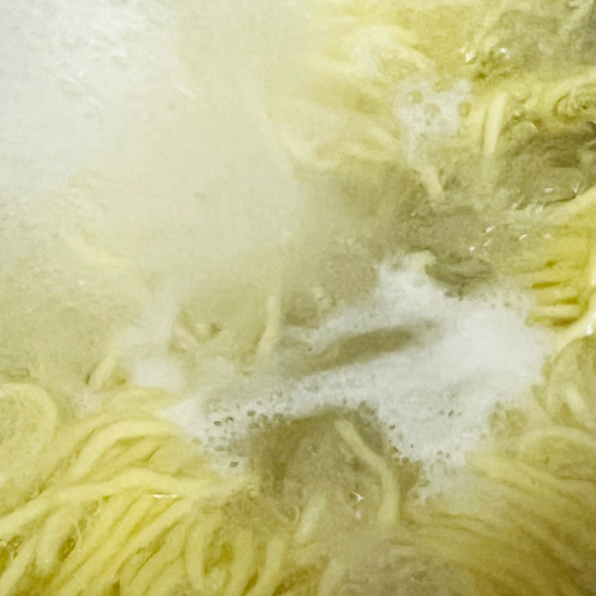 Japanese Delights Workshop: Mastering Tsukudani, Ramen and Gyoza