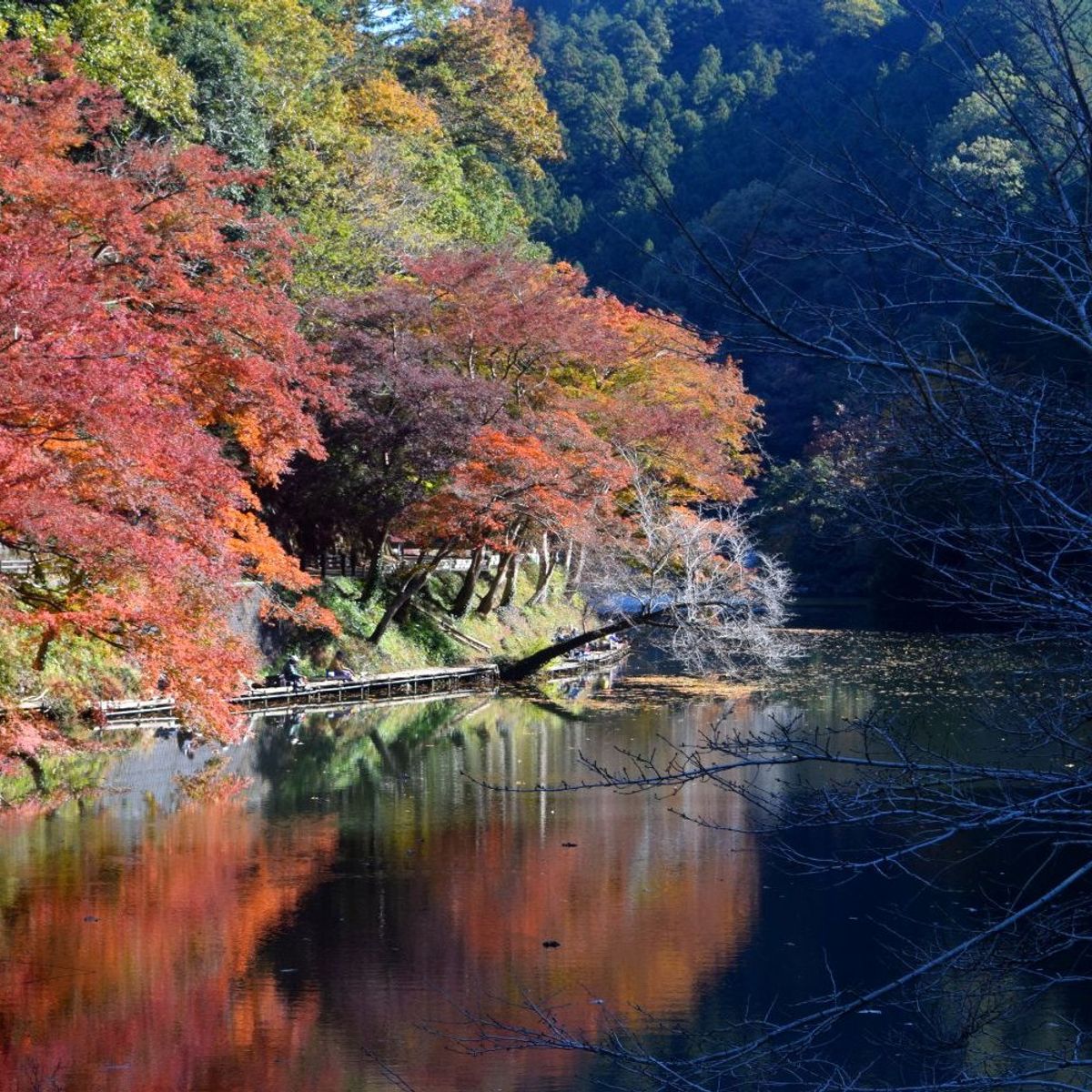 Countryside Japanese Home: Traditional Sweets Making Experience