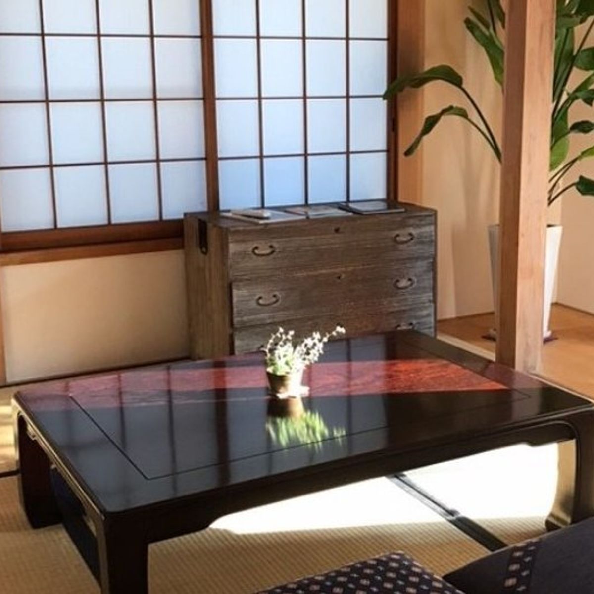 Vegan & Vegetarian Japanese Cooking Class – Sushi, Tempura & Miso Magic