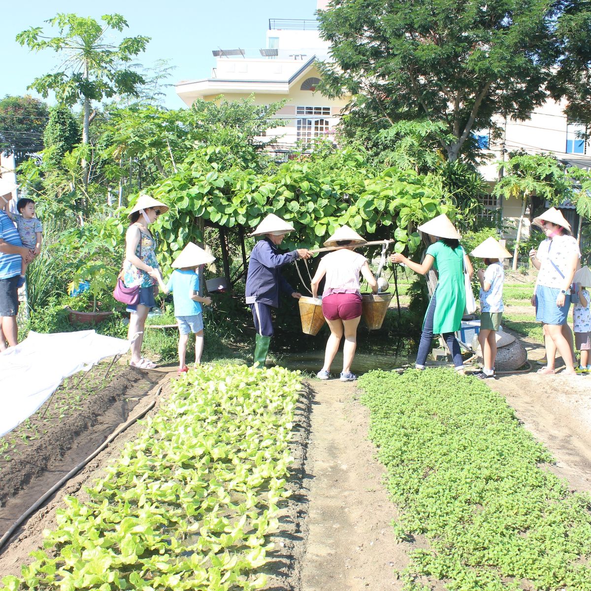 Jolie Da Nang Cooking Class with Organic Garden and Market Tour