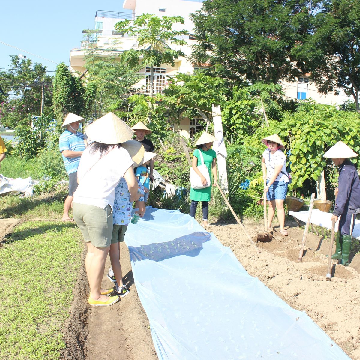Jolie Da Nang Cooking Class with Organic Garden and Market Tour