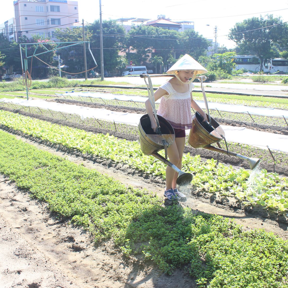 Jolie Da Nang Cooking Class with Organic Garden and Market Tour