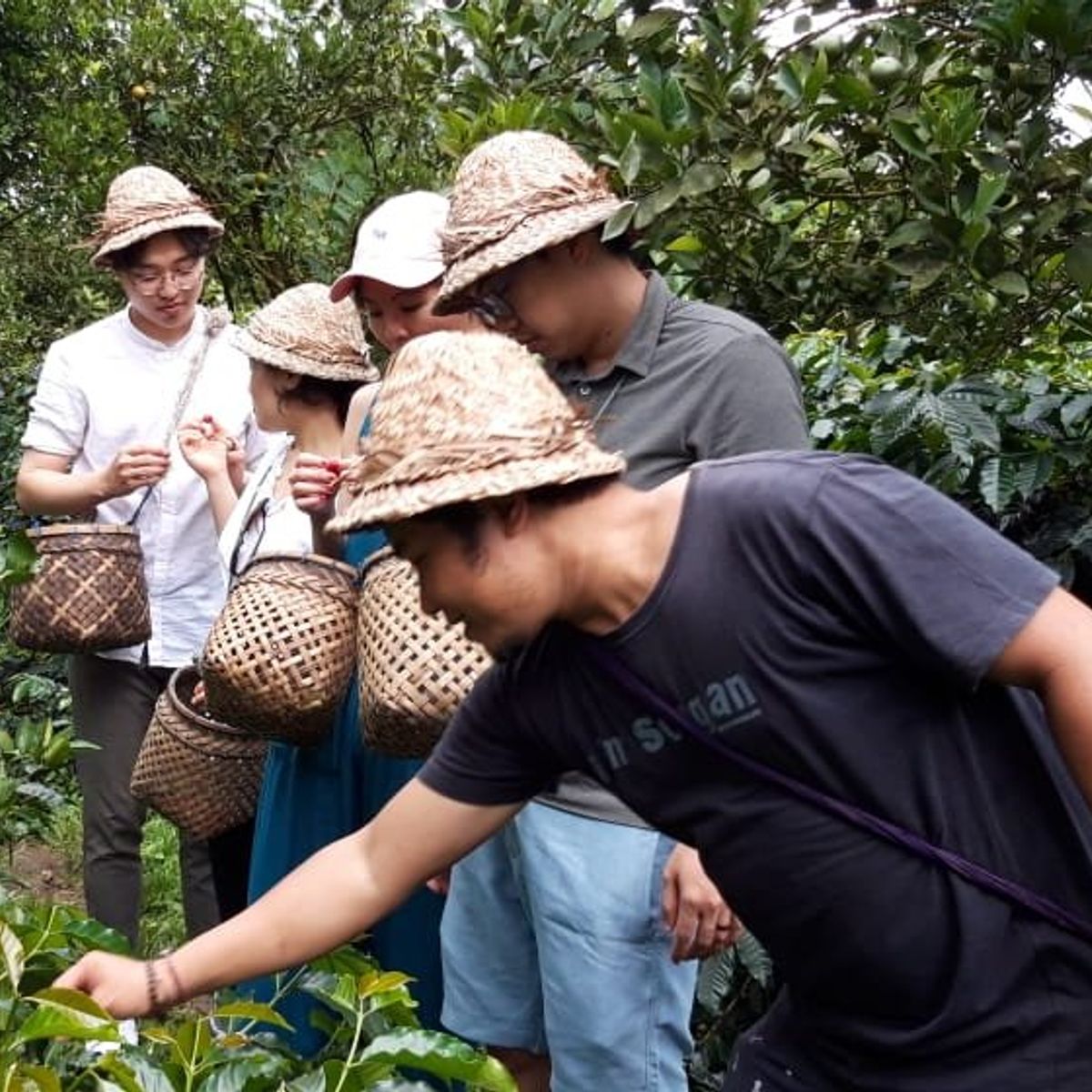 Balinese Coffee Brewing and Farm Tour with Lunch