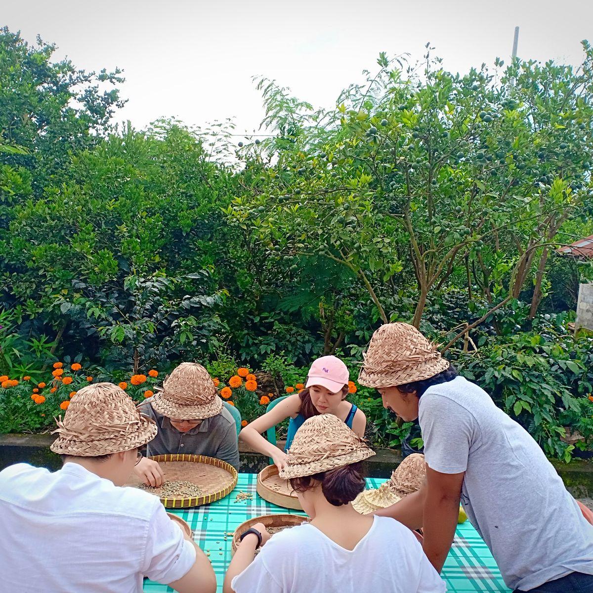 Balinese Coffee Brewing and Farm Tour with Lunch