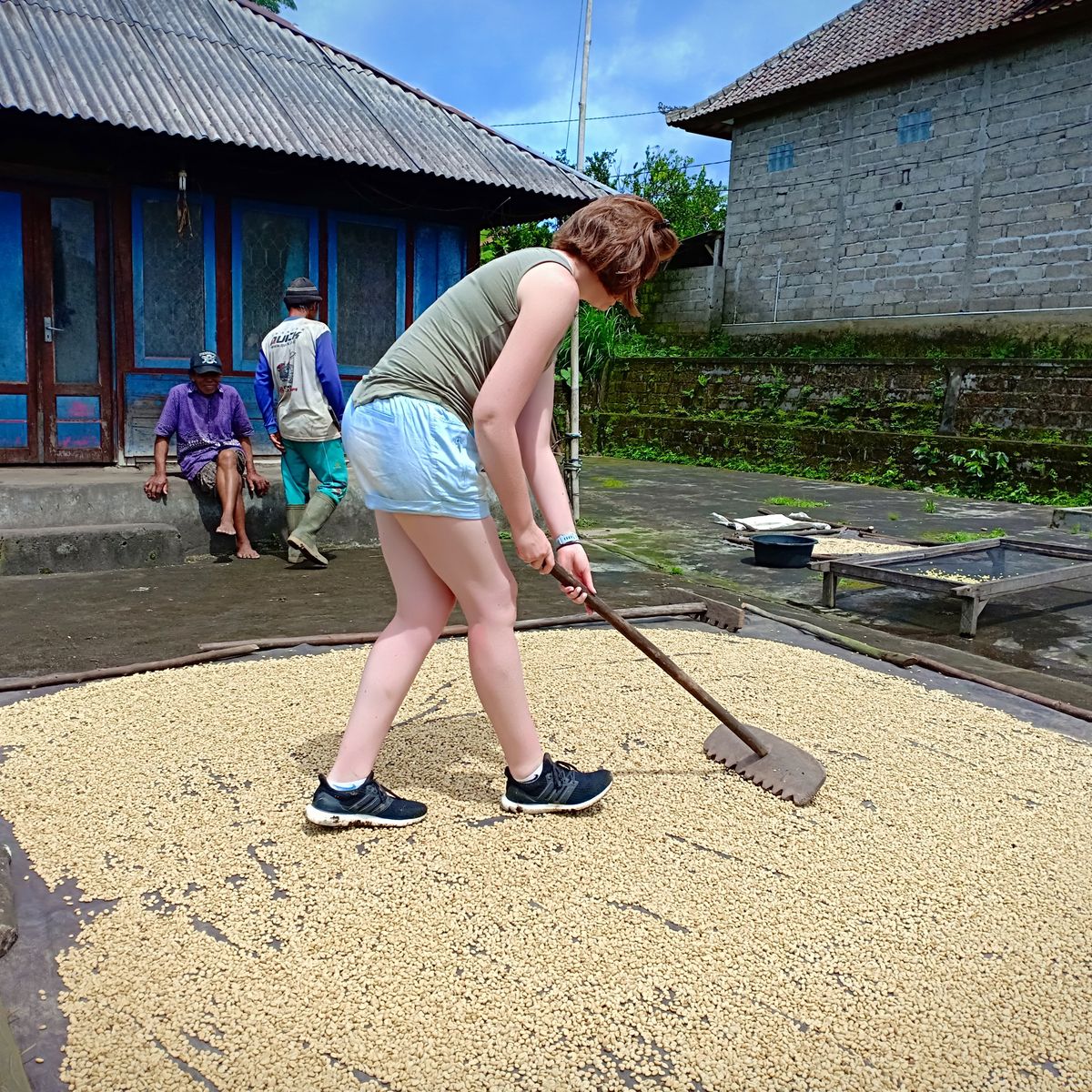 Balinese Coffee Brewing and Farm Tour with Lunch