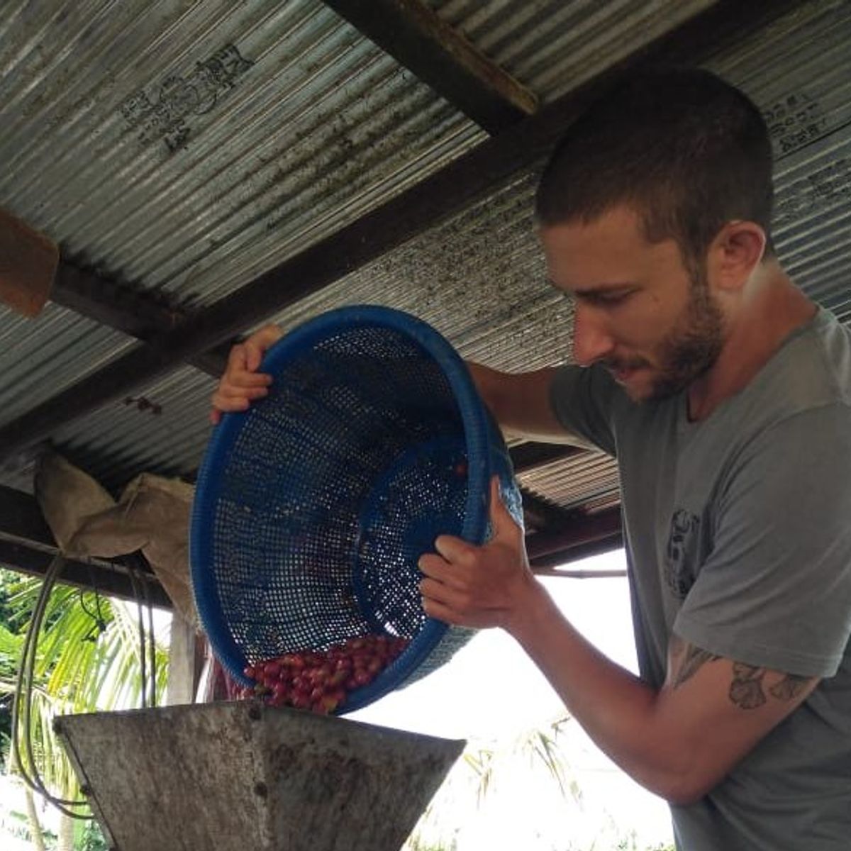 Balinese Coffee Brewing and Farm Tour with Lunch