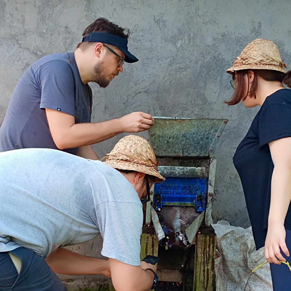 Balinese Coffee Brewing and Farm Tour with Lunch