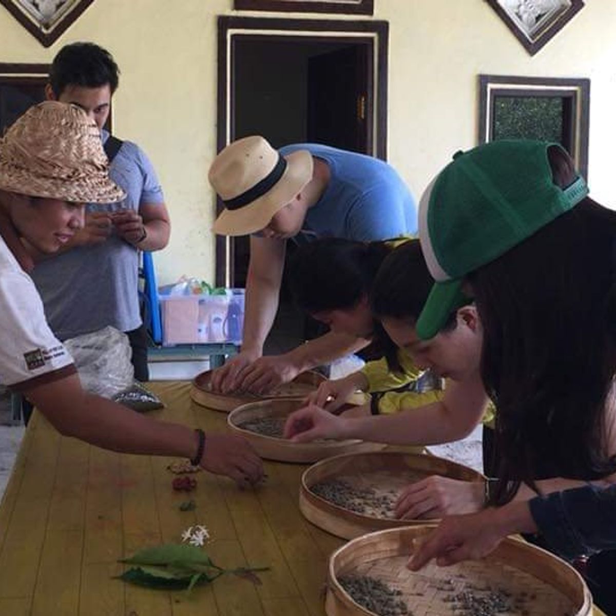 Balinese Coffee Brewing and Farm Tour with Lunch