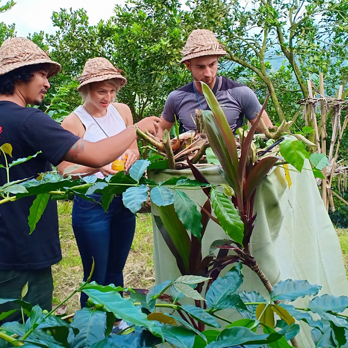 Balinese Coffee Brewing and Farm Tour with Lunch