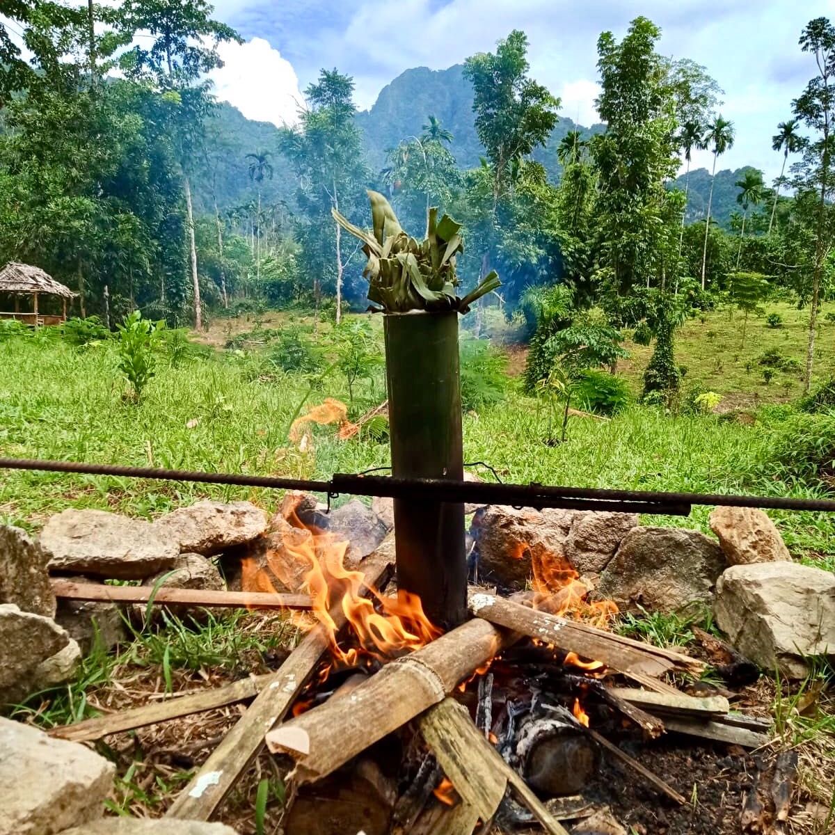 Khao Sok Jungle Cooking