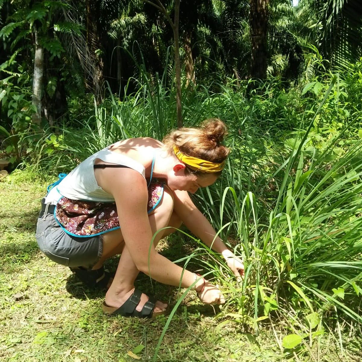 Khao Sok Jungle Cooking