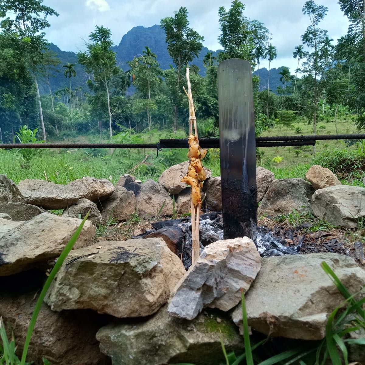 Khao Sok Jungle Cooking