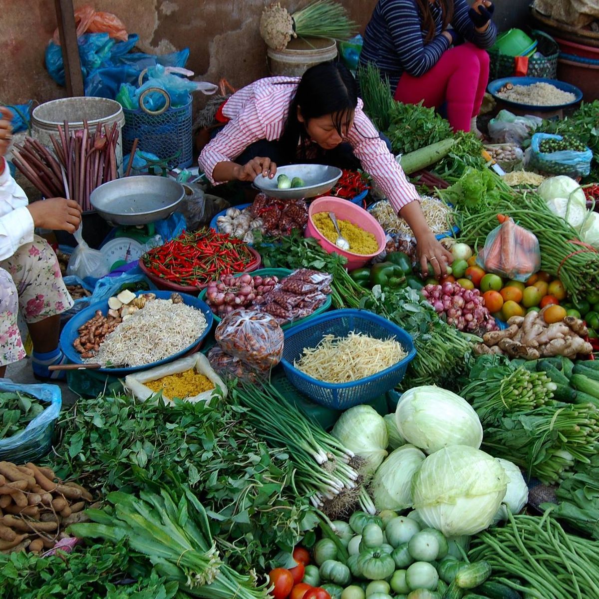 Khmer Cooking Class with Fresh Ingredients from The Local Market