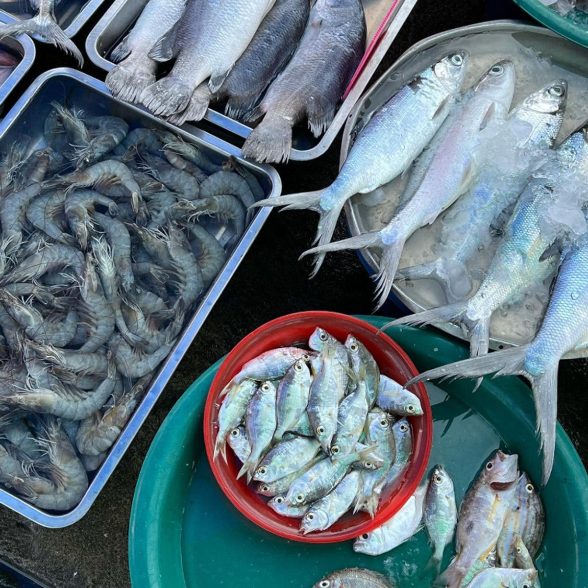 Traditionelles thailändisches Kocherlebnis auf Koh Samui mit lokalen Köchen