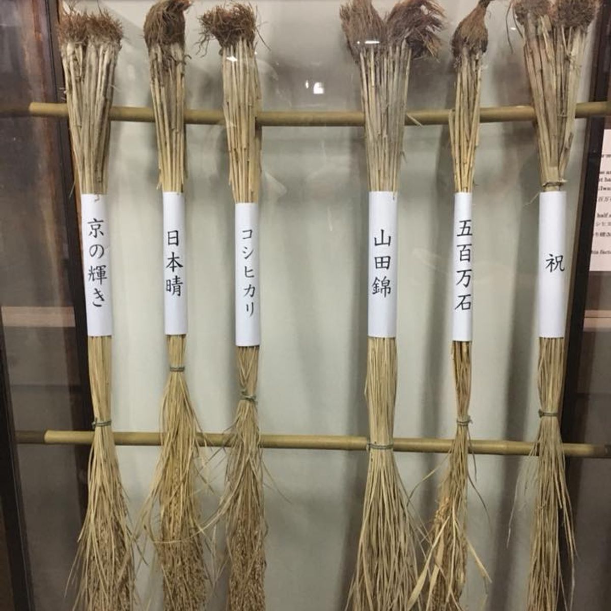 Kyoto Sake Brewery Tour with Lunch