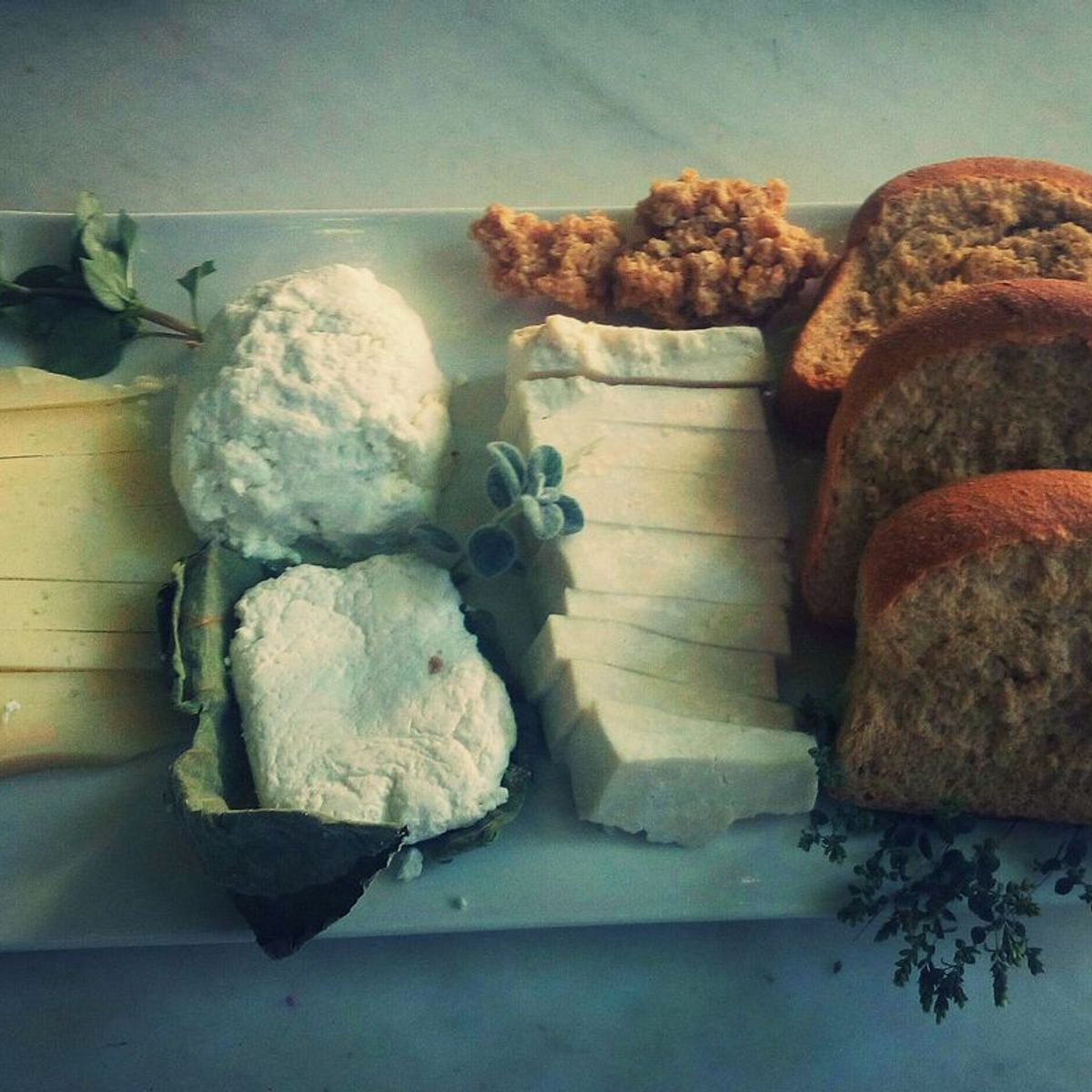 Découvrez l'art ancestral de la fabrication du fromage et du pain dans une oliveraie tricentenaire.