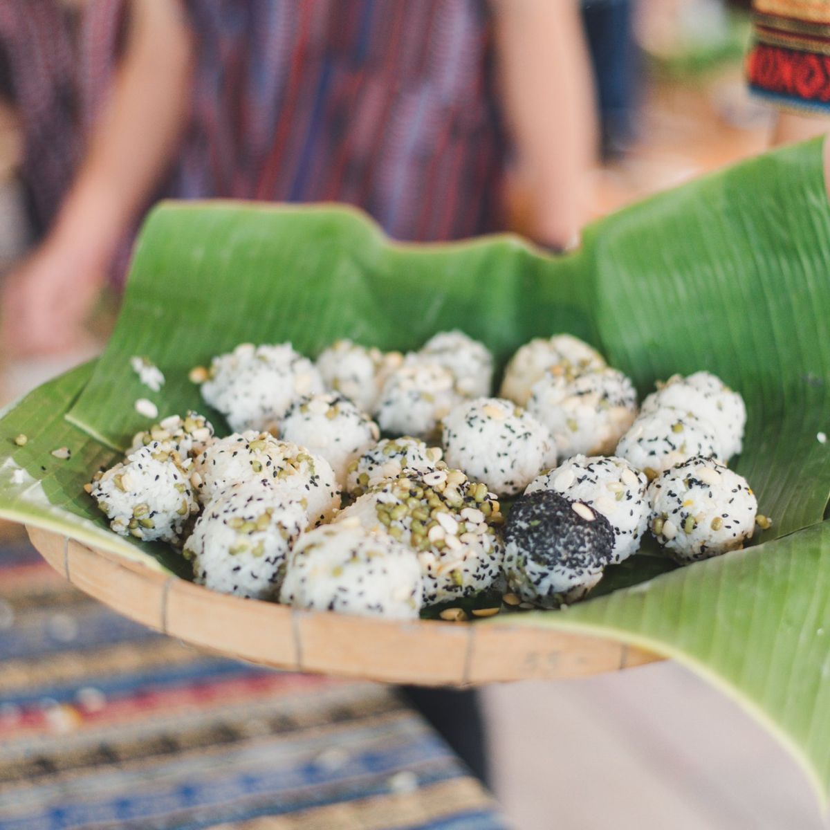 Learn How to Cook Supplementary Food for the Elephants