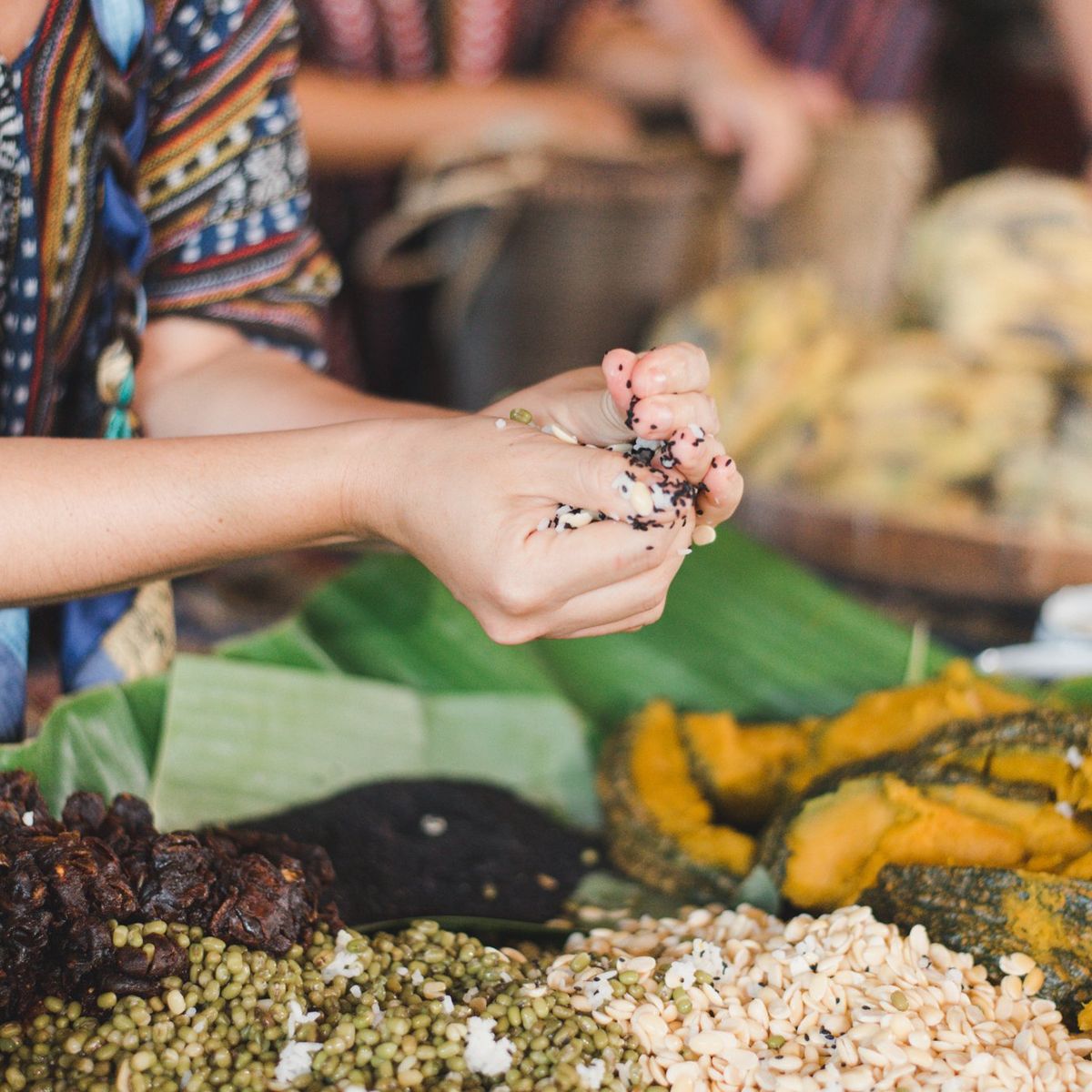 Learn How to Cook Supplementary Food for the Elephants
