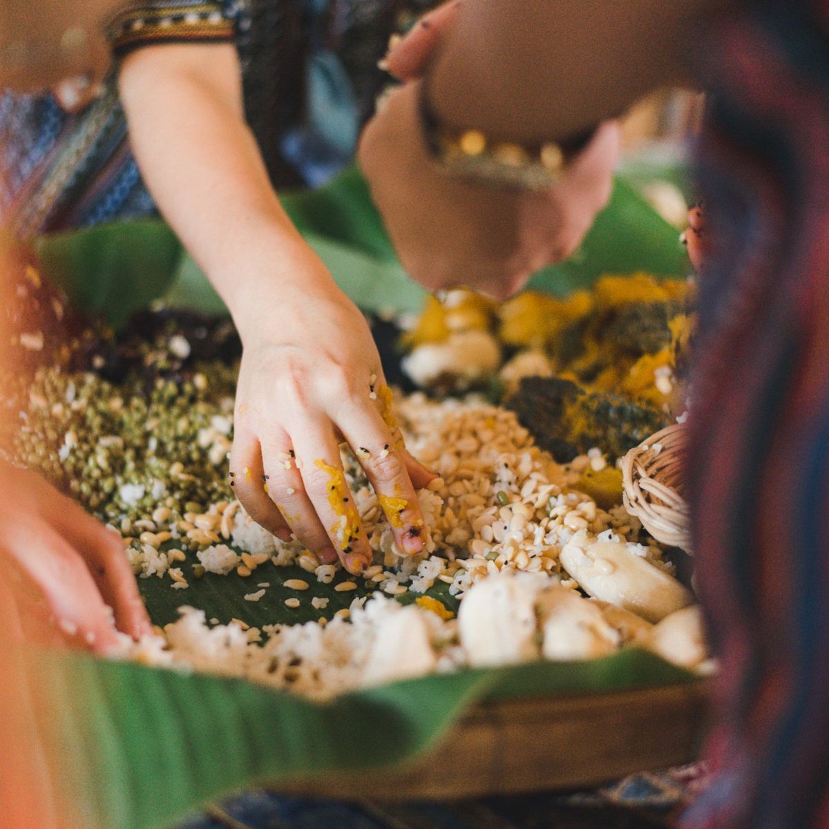 Learn How to Cook Supplementary Food for the Elephants