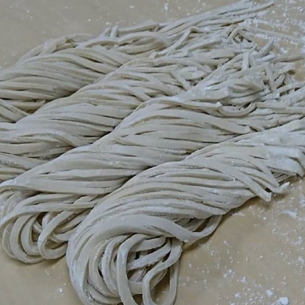 Musashino Udon Noodles and Japanese Culinary Traditions Experience