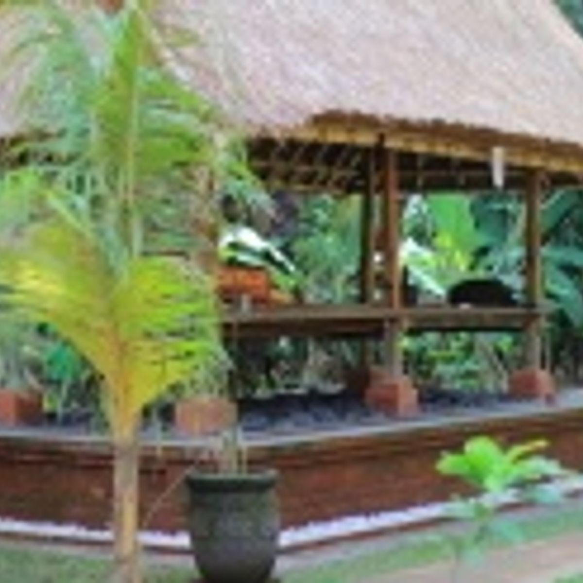 Bali Rural Life