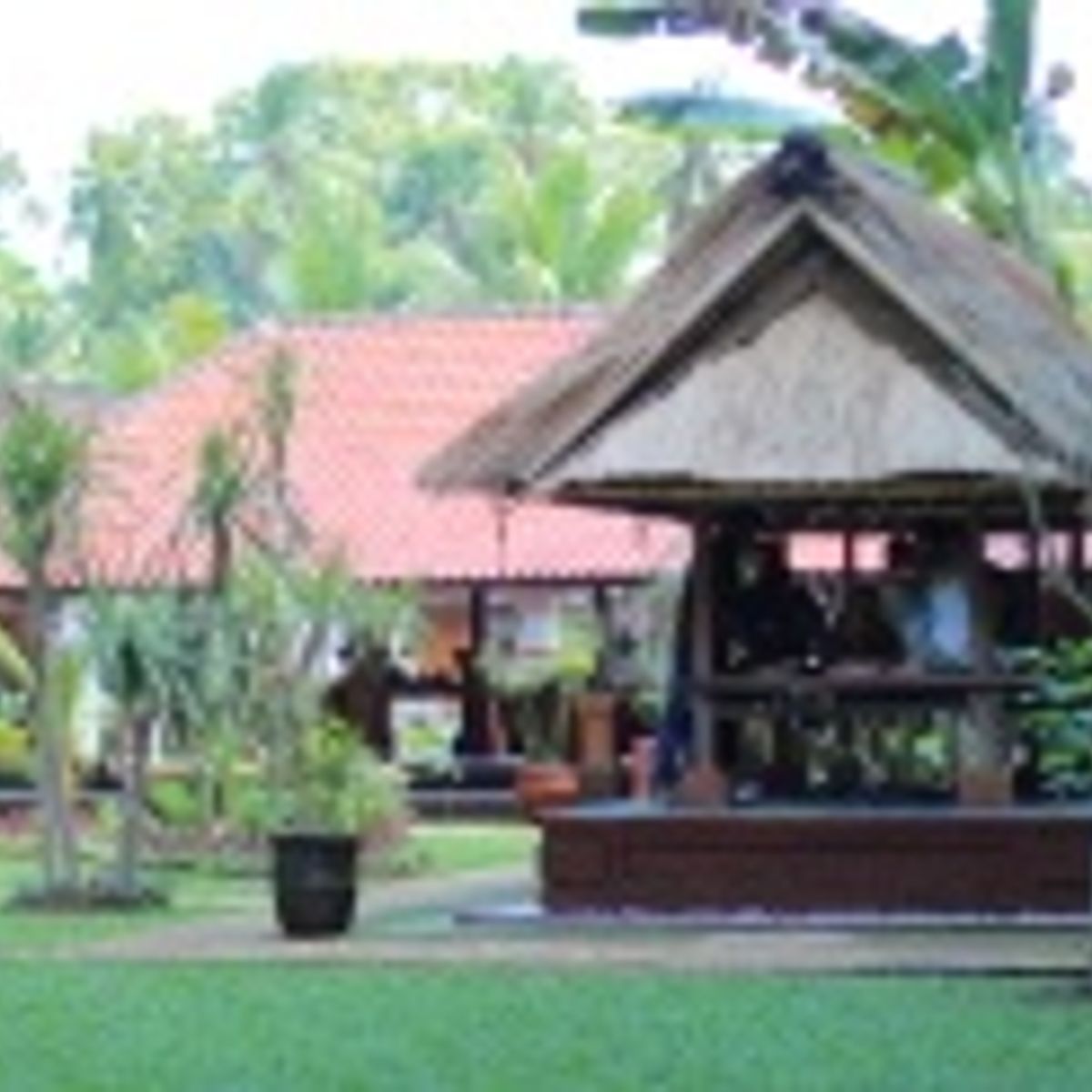 Bali Rural Life