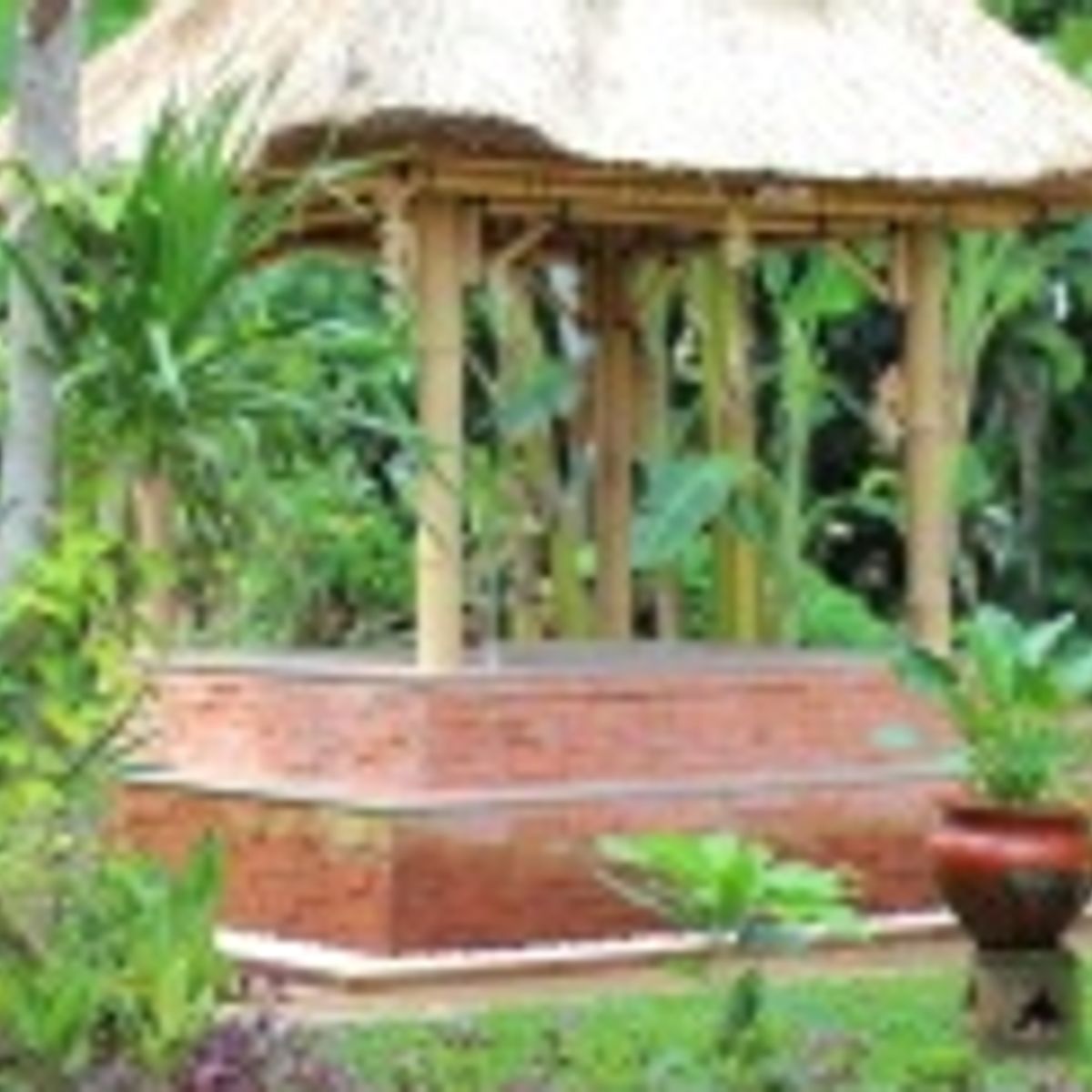 Bali Rural Life