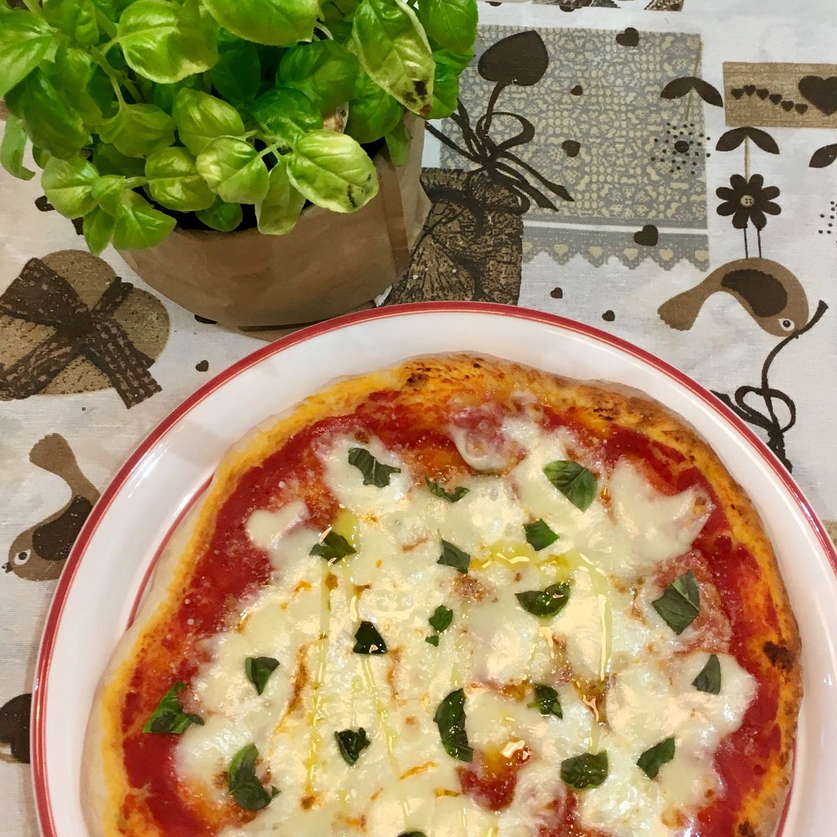 Let's Cook Together a Traditional Italian Meal in Turin