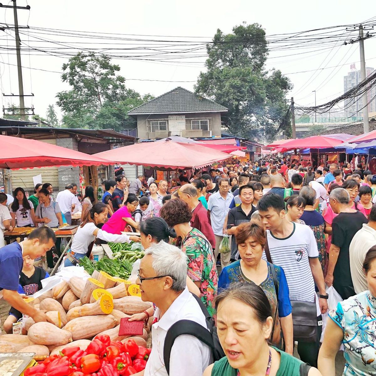 Escape to The Farm Market with Local Food