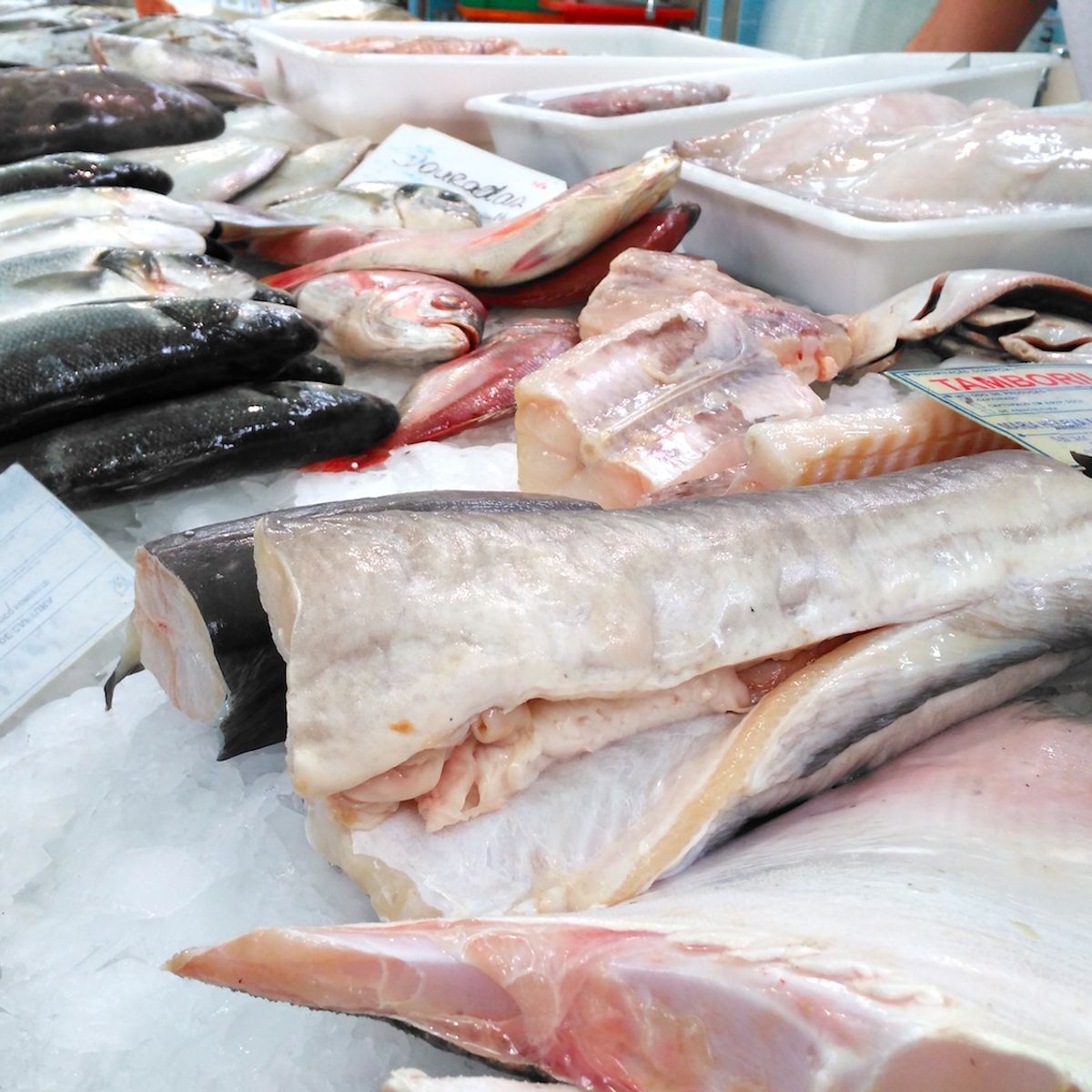 Portuguese Cooking Class with Lisbon Market Tour