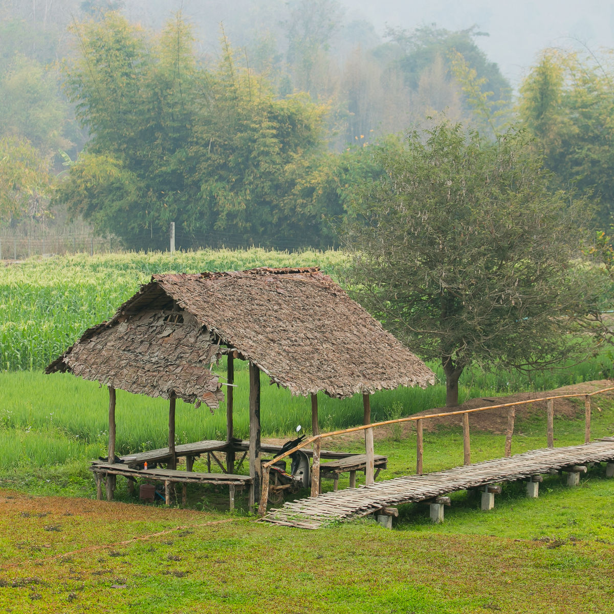 Full Day Cooking Trip with A Northern Hill Tribe