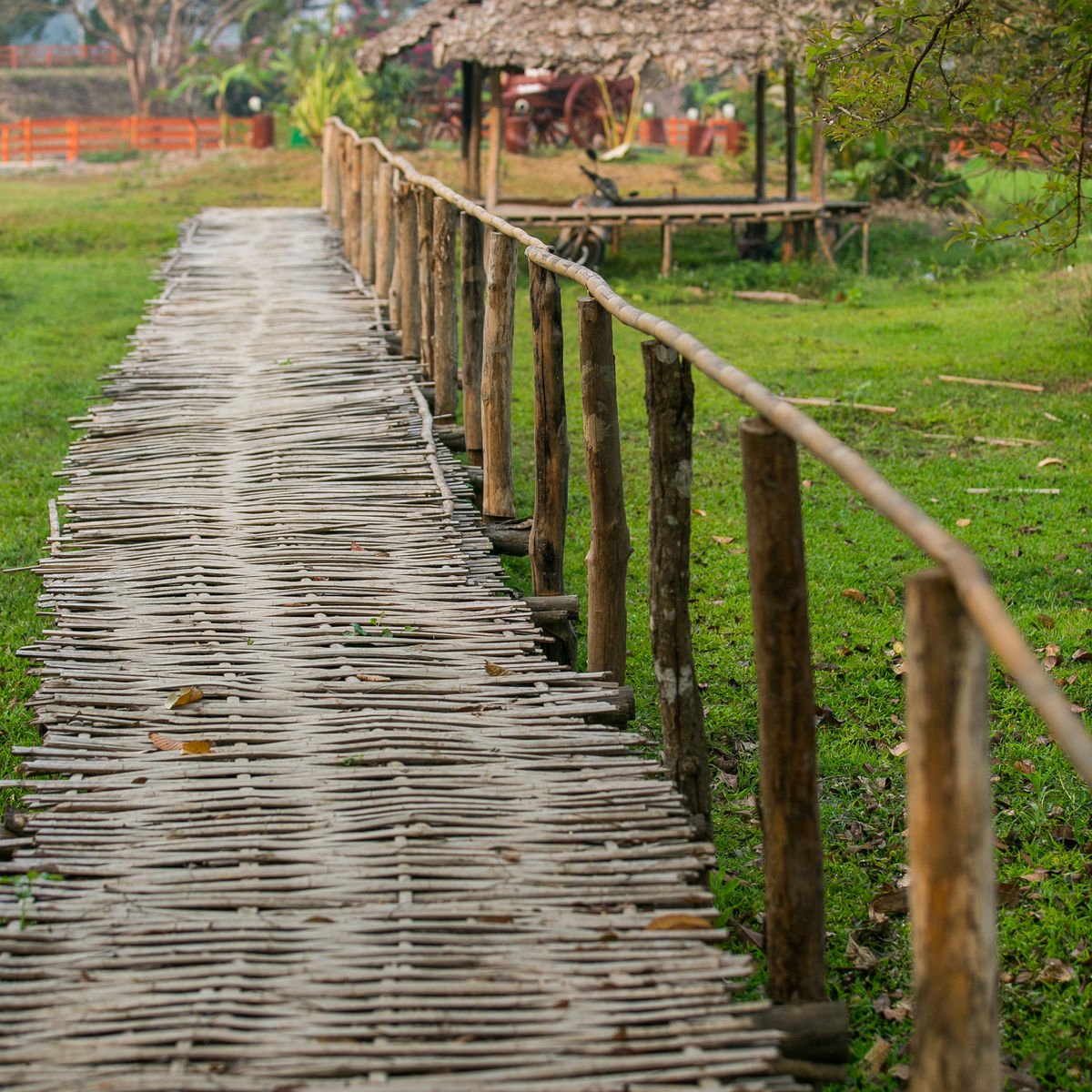 Full Day Cooking Trip with A Northern Hill Tribe