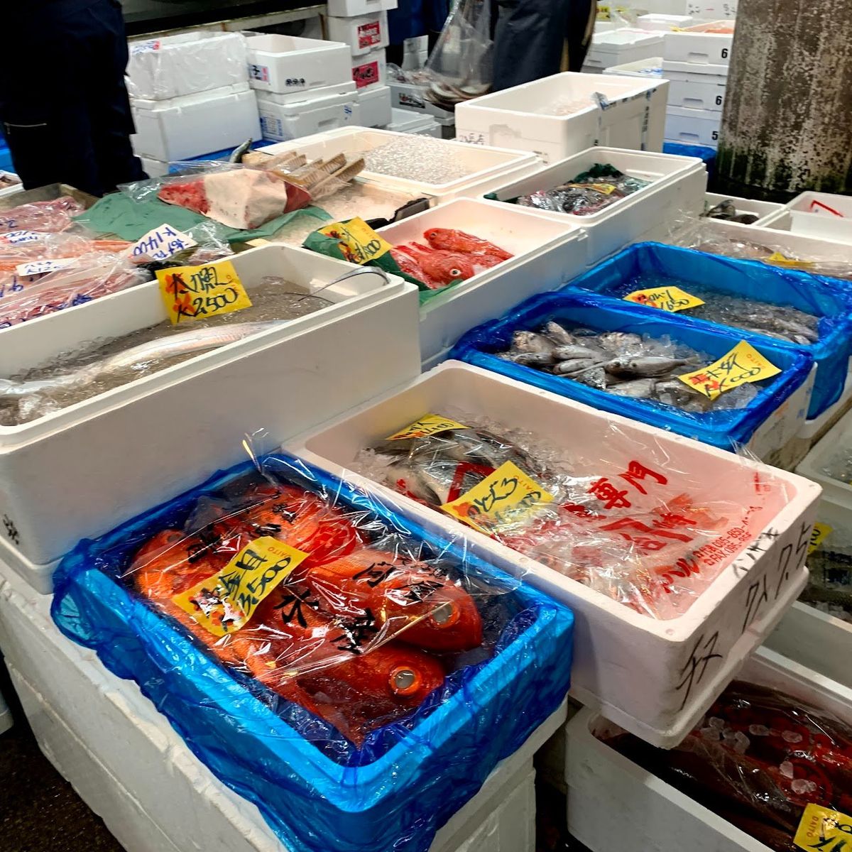 Tokyo Fish Market Tour + Craft Japanese Nigiri Sushi
