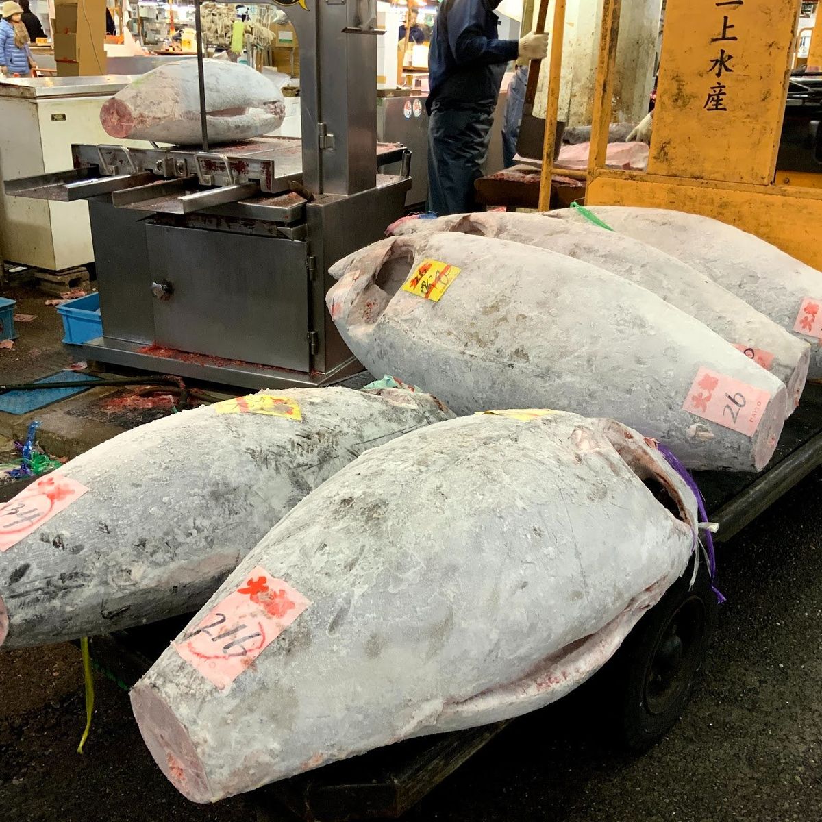 Tokyo Fish Market Tour + Craft Japanese Nigiri Sushi
