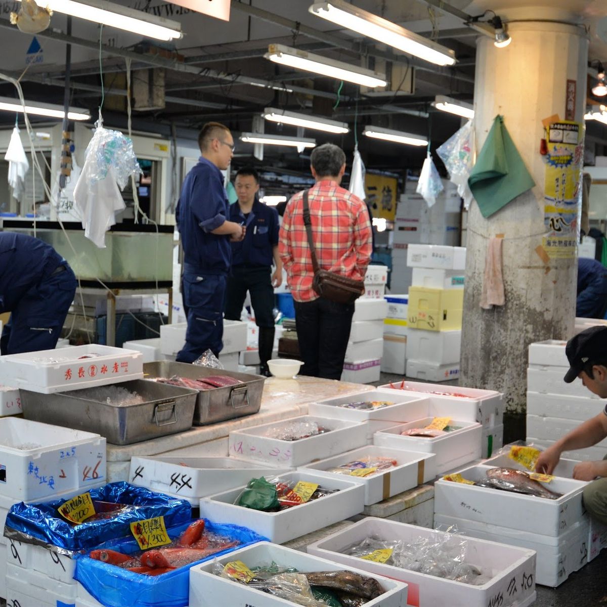 Tokyo Fish Market Tour + Craft Japanese Nigiri Sushi