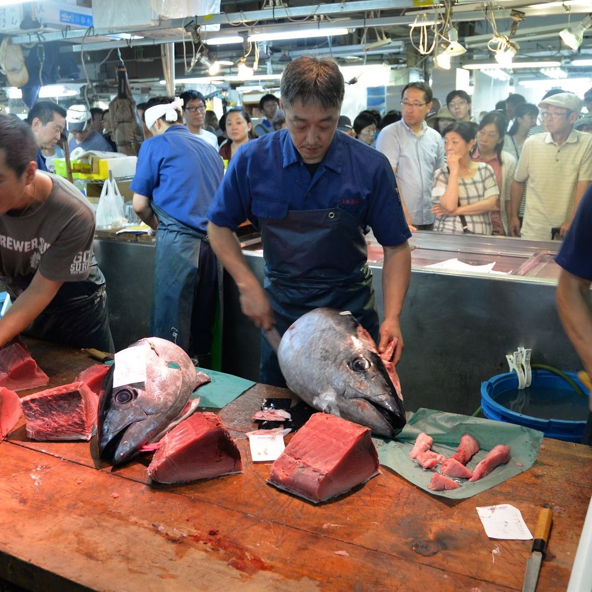Tokyo Fish Market Tour + Craft Japanese Nigiri Sushi