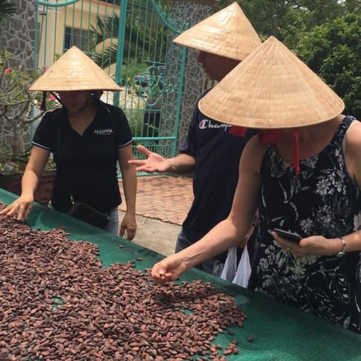 Make Chocolate at a Mekong Cocoa Farm
