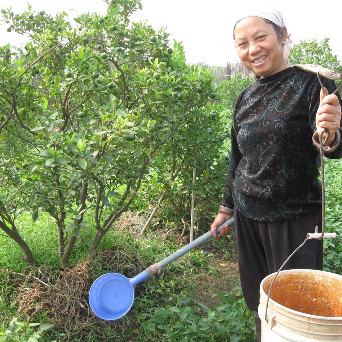 Farm Tour and Private Home Cooking Class with Local Family