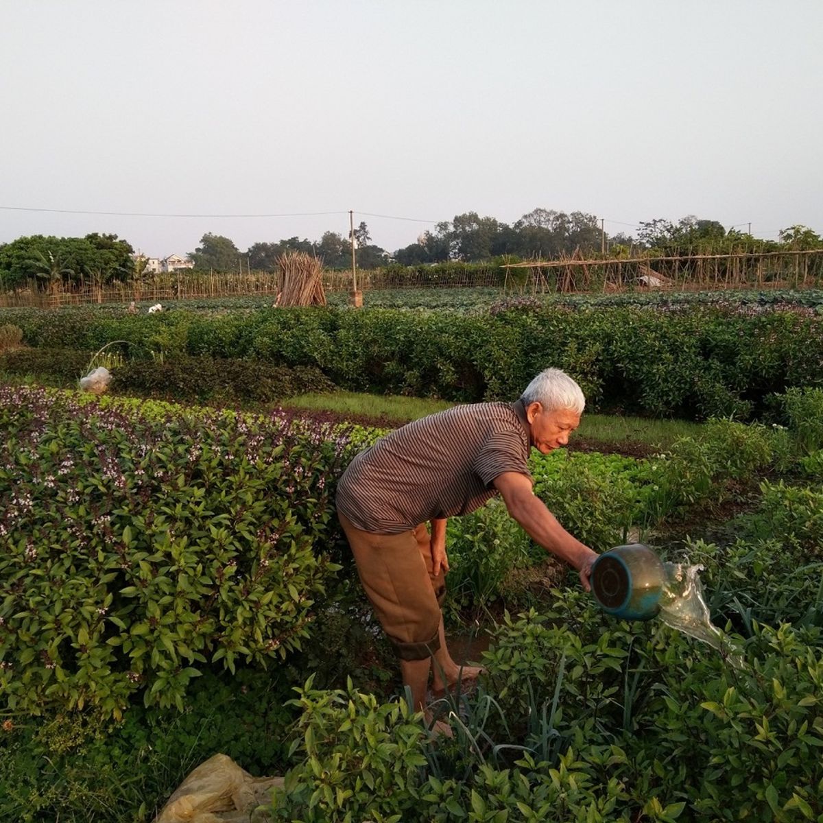 Farm Tour and Private Home Cooking Class with Local Family