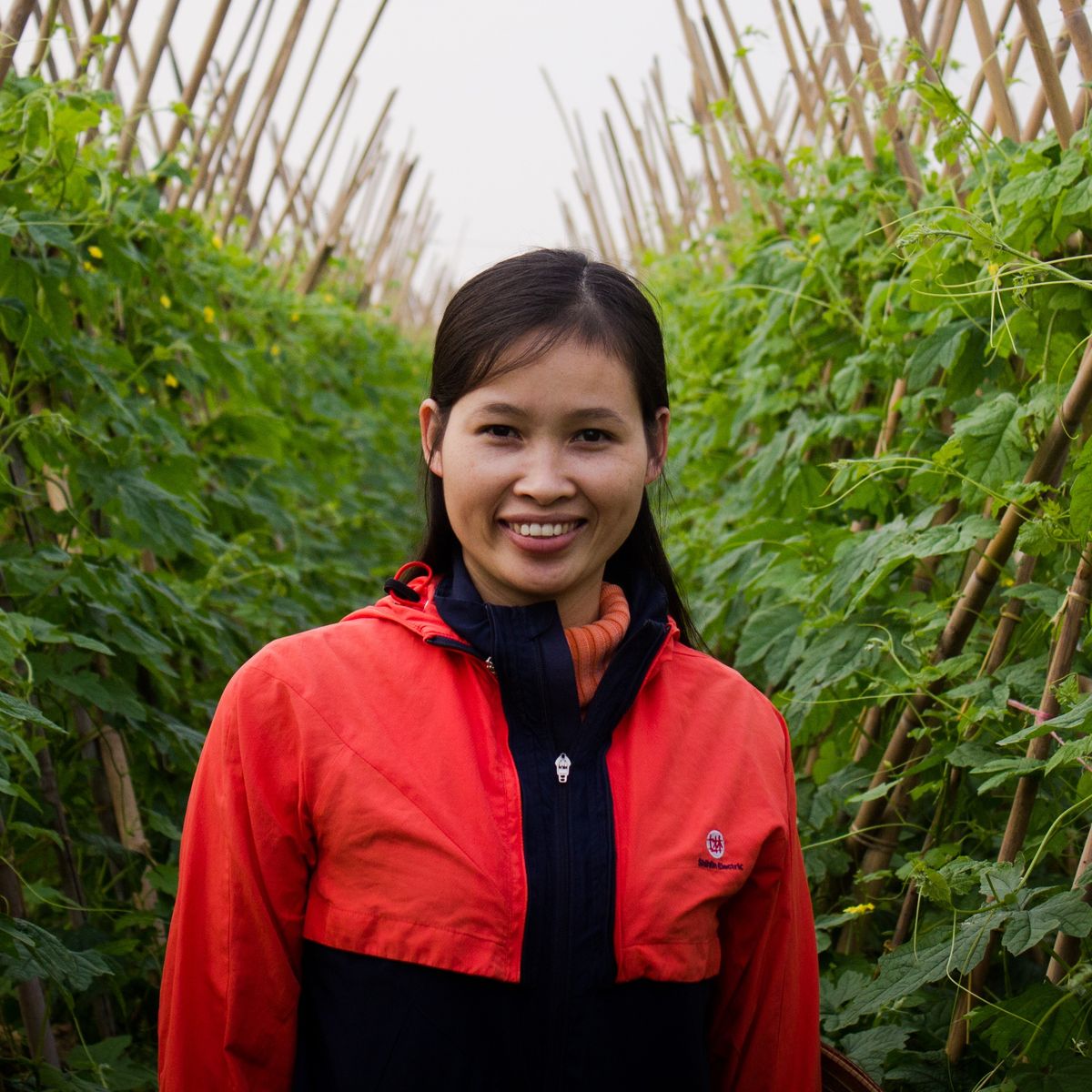 Farm Tour and Private Home Cooking Class with Local Family