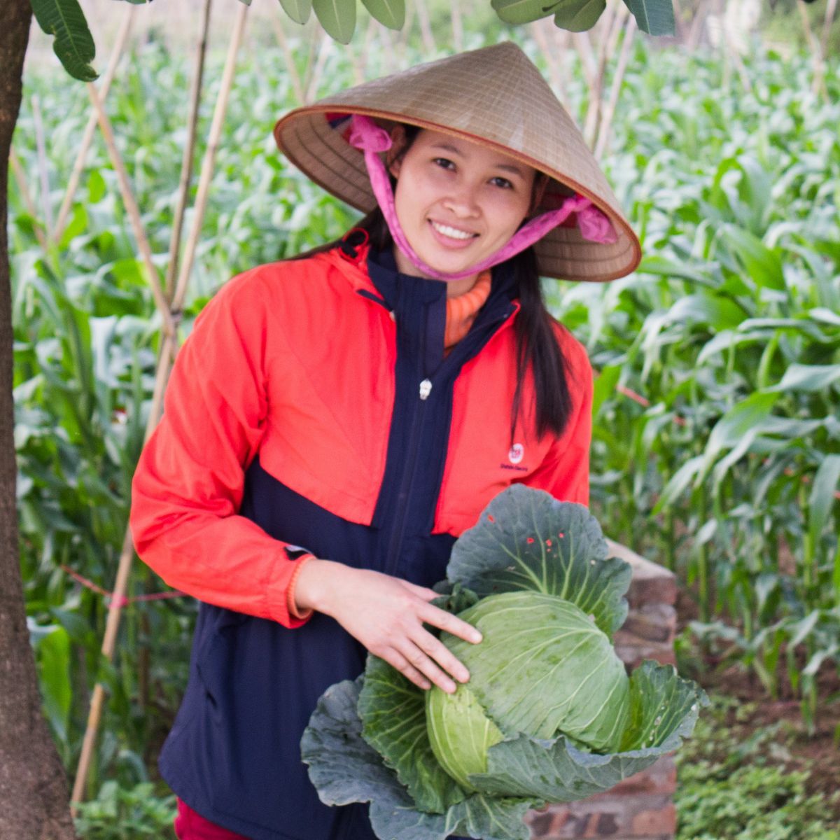 Farm Tour and Private Home Cooking Class with Local Family