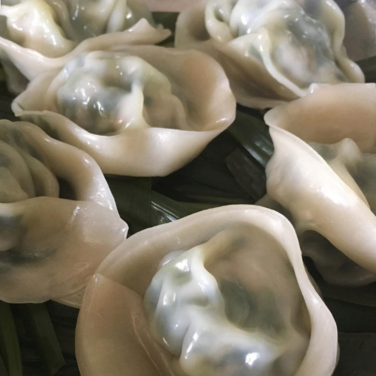 Du marché à la cuisine : cours de fabrication de raviolis bio et visite du marché (option végétarienne possible)