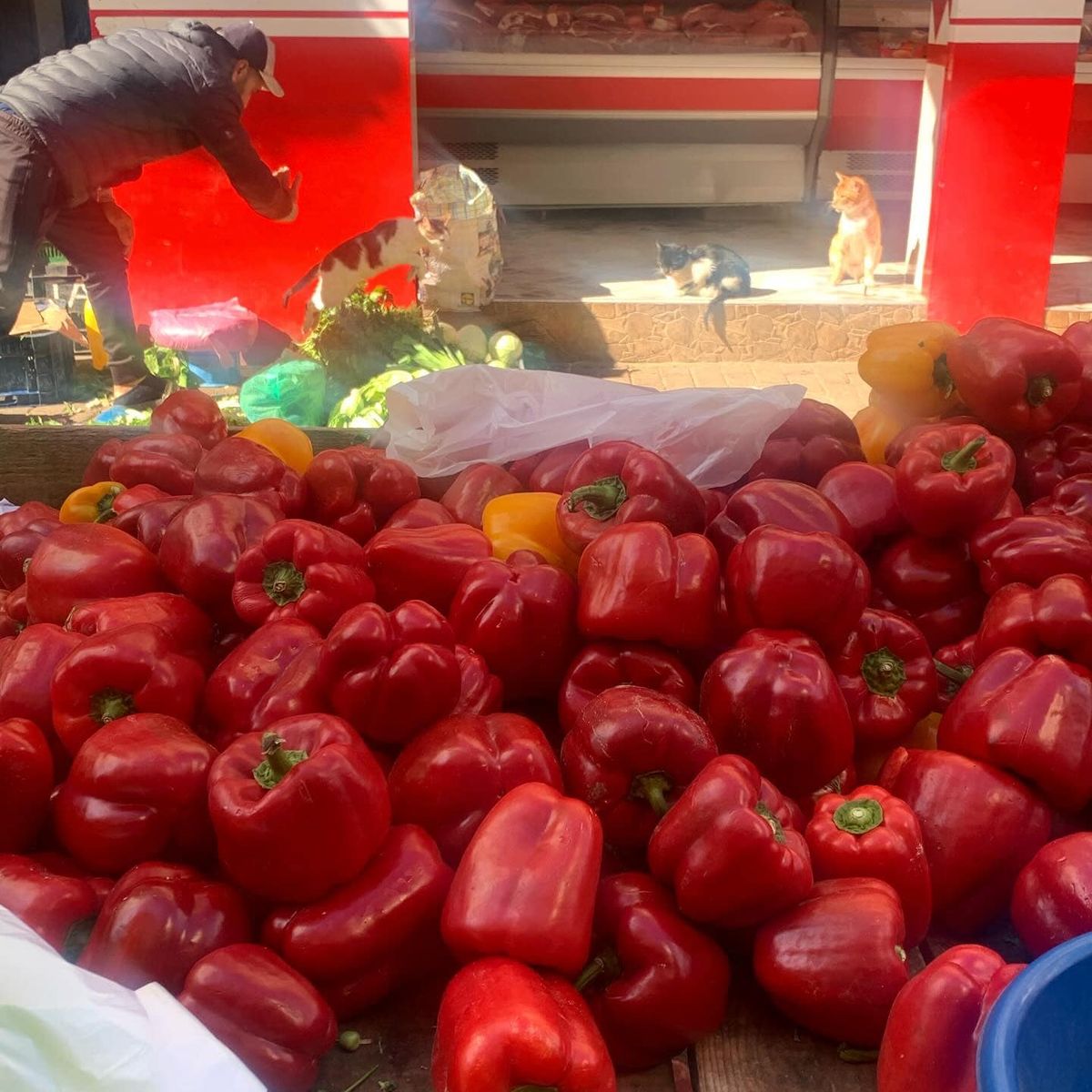 Market Tour and Moroccan Cooking Experience with Rababe Family