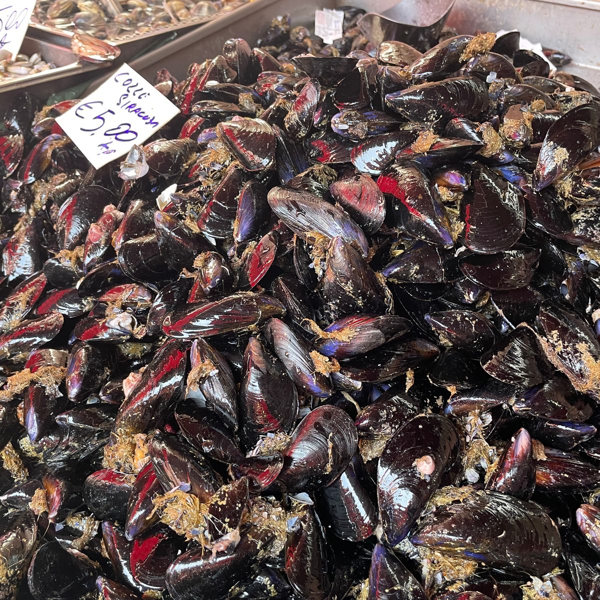 Join a Local for a Market Tour & Home Cooking Class in Catania
