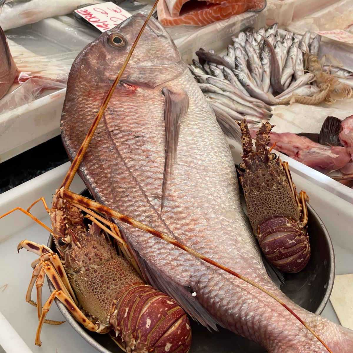 Join a Local for a Market Tour & Home Cooking Class in Catania